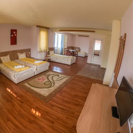 Bache Todor Guest house *